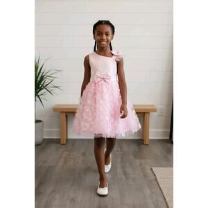 Pink Tulle Overlay Easter Pagent Church Party Butterfly Dress Size 4T
